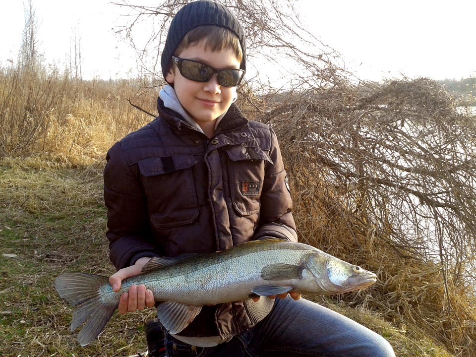 Roman Kraic, Zander, Fuchsbodenteich